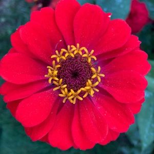 Meet your Posher, Barbara